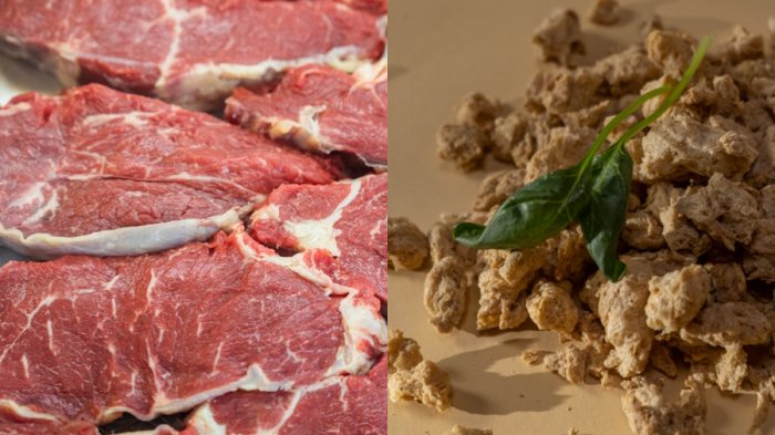 Agrupación de ganaderos buscan prohibir que se llame “carne” a alimentos de origen vegetal