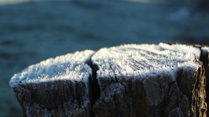 Hasta -3°C: Advierten de heladas en seis regiones tras las lluvias de este fin de semana