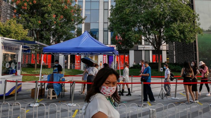 Identifican nuevo virus de origen animal en China: Hay 35 personas contagiadas