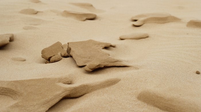 Hombre que grababa el amanecer murió sepultado por la arena tras derrumbe de una duna en Estados Unidos