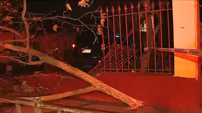 Insólito: Auto terminó incrustado en frontis de colegio tras derribar la reja y un árbol en Ñuñoa