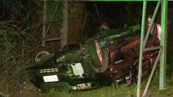 Auto con 12 ocupantes se volcó tras esquivar a una jauría de perros: Hay 4 víctimas en riesgo vital