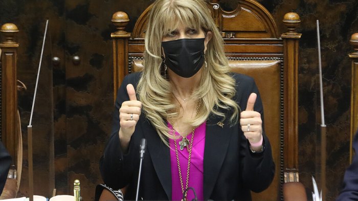 Ximena Rincón y críticas por guiño del Rechazo a campaña del No: 