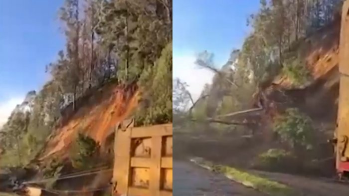 Alcalde de Chiguayante emplaza al gobierno y la Onemi tras deslizamiento de tierras y caídas de árboles