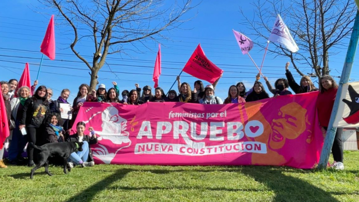 Ex constituyente denuncia que hombre la amenazó y le arrojó leña mientras hacía campaña por el Apruebo