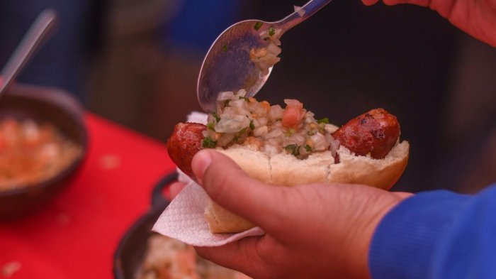 Con vasos reutilizables y puntos de reciclaje: Chillán hará fiesta ecológica y sustentable de la longaniza