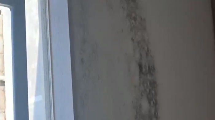 Recién entregadas: Vecinos de Maipú denuncian graves problemas con humedad y hongos en sus casas