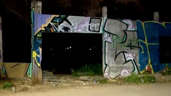 Está en riesgo vital: Hombre fue golpeado por guardias en parque de Quinta Normal