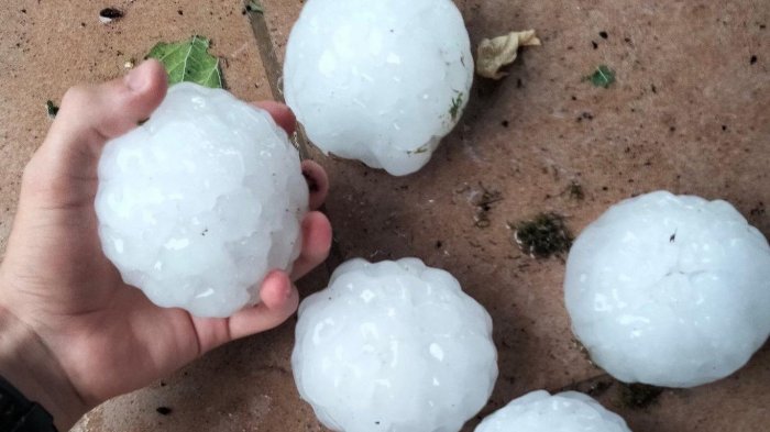 Guagua murió por el impacto de una bola de hielo durante una tormenta