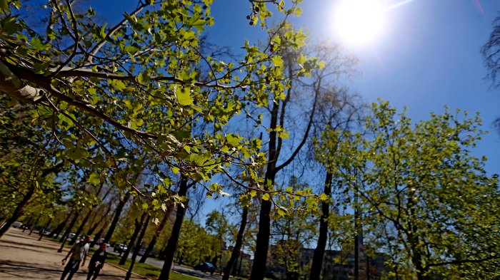 Pronóstico, ciudadanos: ¿Cómo estará el tiempo en tu región para el plebiscito de este 4 de septiembre?