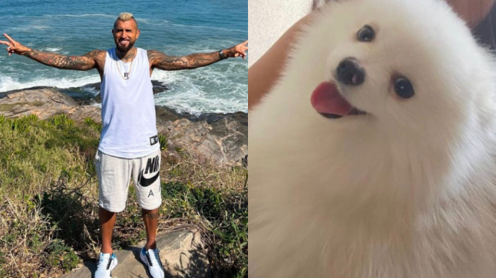 Ofrece $5 millones: El desesperado llamado de Arturo Vidal para encontrar a perrito de sus hijos