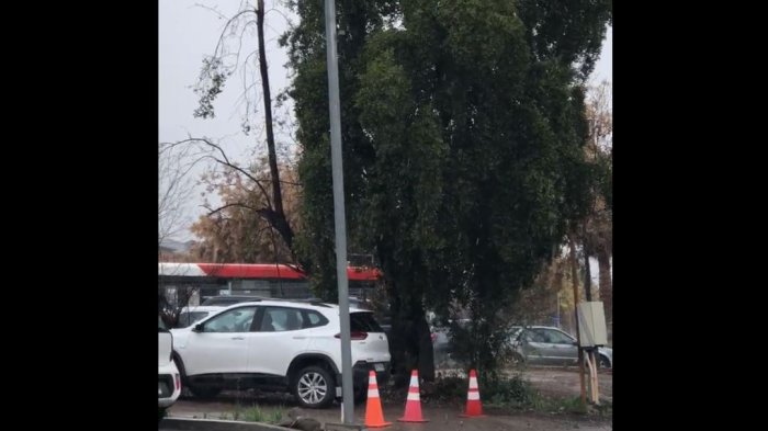 Los videos que dejó la sorpresiva caída de nieve y aguanieve en parte de la Región Metropolitana