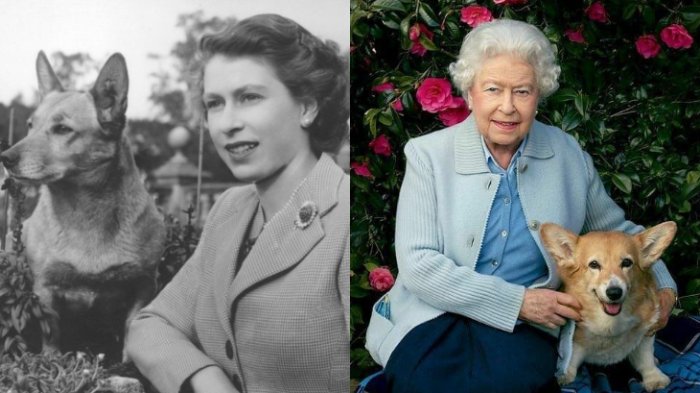 ¿Una dog lover? El fuerte vínculo de la reina Isabel II con los perros corgi hasta sus últimos días