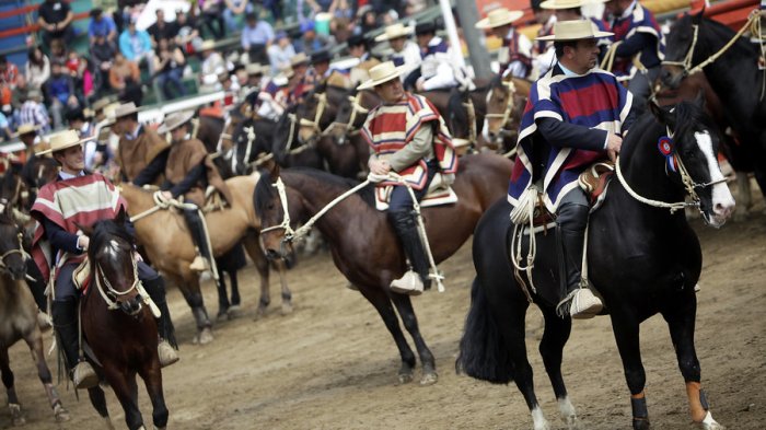 ONG exige que el rodeo deje de ser considerado como un deporte nacional: 
