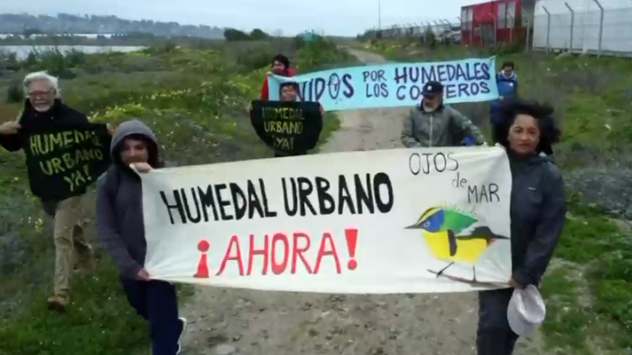 Vecinos contra un megapuerto: La lucha para proteger un humedal en San Antonio