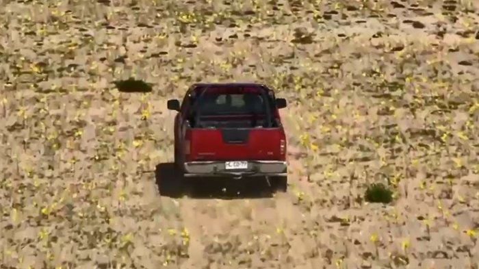 Para sacarse una foto: Indignación por camioneta que atravesó el desierto florido en Atacama