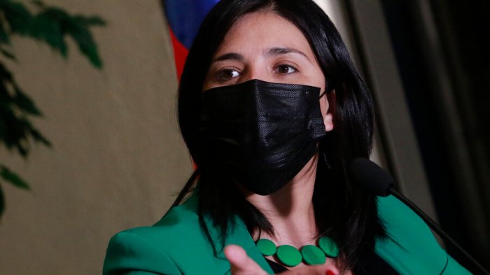 Criticaron a Karol Cariola por mensaje de cuenta parodia: La diputada acusó suplantación de identidad