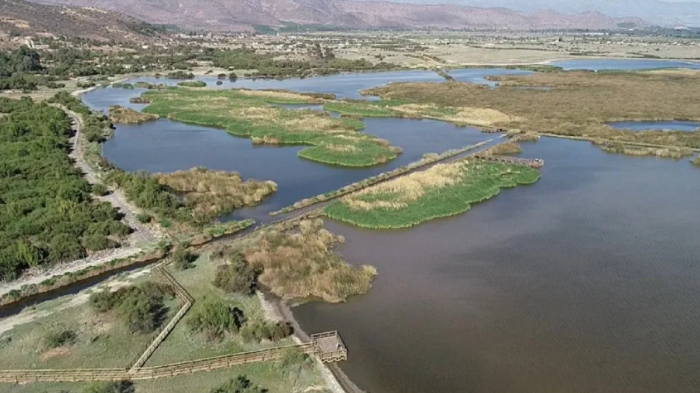 Vecinos denuncian abandono del humedal de Batuco a un año de ser declarado Santuario de la Naturaleza