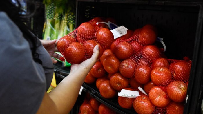 Nuevos beneficiarios y monto del Aporte Canasta Básica: Consulta con tu RUT y fecha de nacimiento si lo recibirás