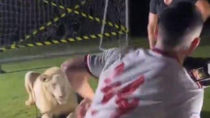 ¡Cuidado con el león! Jugador tenía que filmar un aviso y casi terminó en el techo del susto