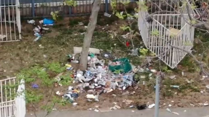 $60 millones en gastos de limpieza: Las toneladas de basura que dejaron los conciertos Daddy Yankee