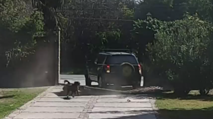 Inédita forma de asalto en Pirque: Delincuentes ingresaron a casa mediante el método de 