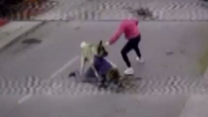 Mujer fue atacada por el perro de sus vecinos: Acusa que no se han hecho cargo de los daños