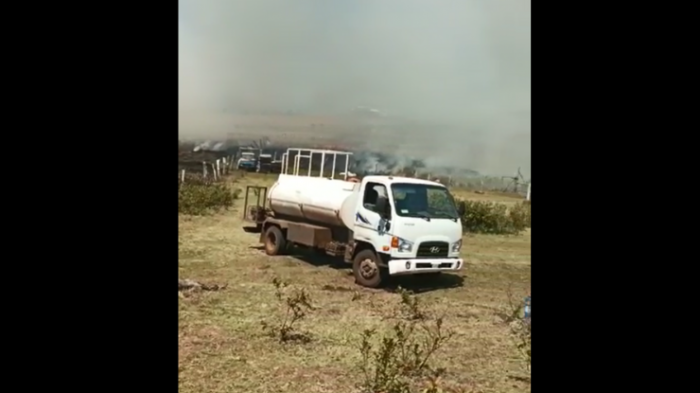 Onemi declara alerta amarilla para Isla de Pascua por incendio forestal