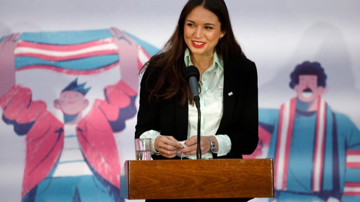 Irina Karamanos anuncia destino de fundaciones a su cargo: 