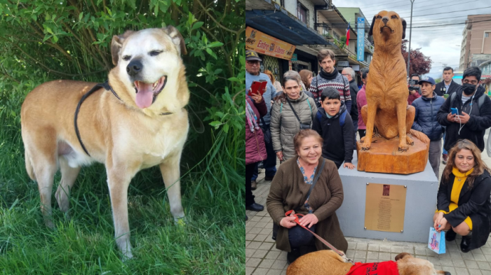 ¿Quién es Don Luis Apolo? La historia del perro homenajeado con una escultura e ícono de Osorno