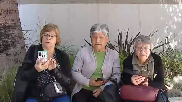 Entre smartphones y redes sociales: Radiografía digital a los adultos mayores en Chile