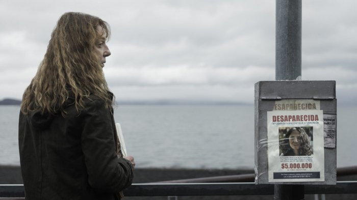 Premios PRODU 2022: Estas son las producciones chilenas finalistas para concursar por la mejor serie