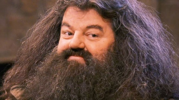 A los 72 años murió el actor Robbie Coltrane, recordado por su papel de Hagrid en Harry Potter
