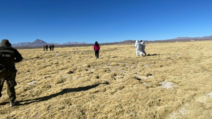 Joven boliviano falleció cruzando la frontera con Chile por paso no habilitado: Es la octava muerte del año