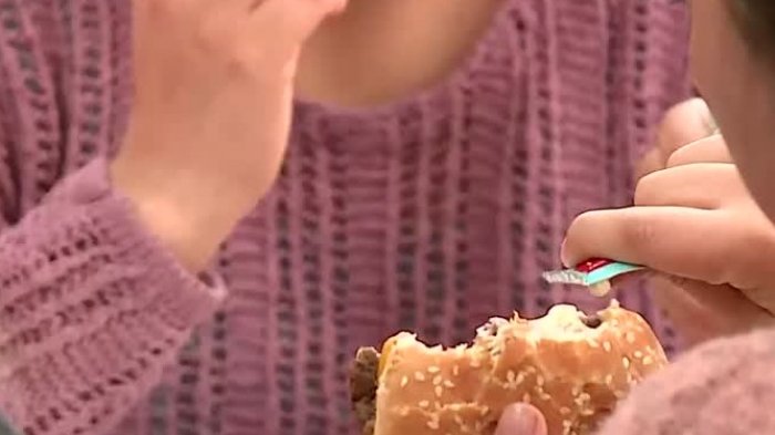 Mapa nutricional de Junaeb: 7 de cada 10 niños de quinto básico sufre de obesidad o sobrepeso