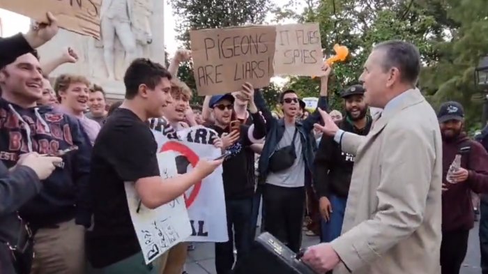 Insólita protesta en Nueva York contra las palomas: Aseguran que 