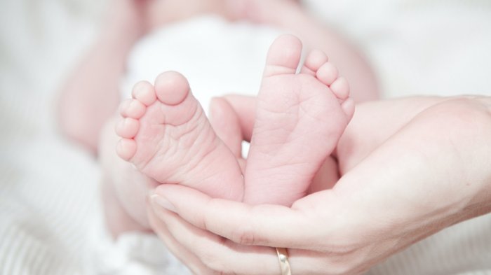 Aprueban la extensión del Postnatal de Emergencia pero aún no será ley: ¿En qué consiste y hasta cuándo será?