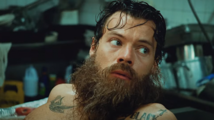 ¿A lo náufrago? Harry Styles luce irreconocible y se transforma en una criatura marina para nuevo video