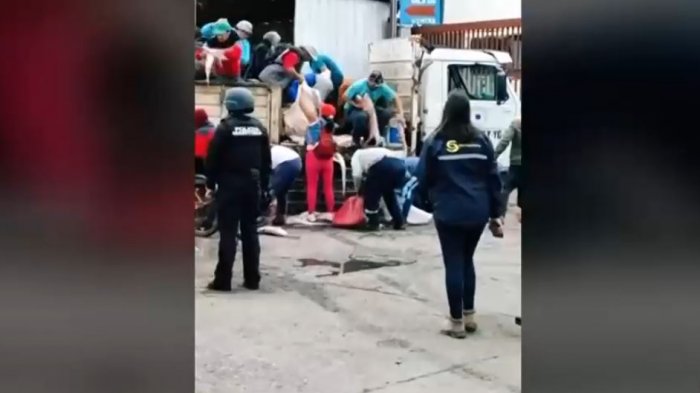 Turba se llevó pescado incautado en fiscalización: Se abalanzaron al camión para sacarlo en Talcahuano