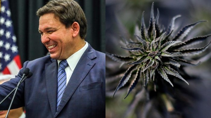 Tras dichos de Joe Biden: Piden a gobernador de Florida indultos a condenados por posesión de marihuana