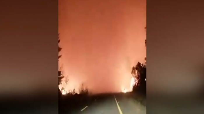 Seis siguen activos: Preocupación por incendios forestales con altas temperaturas