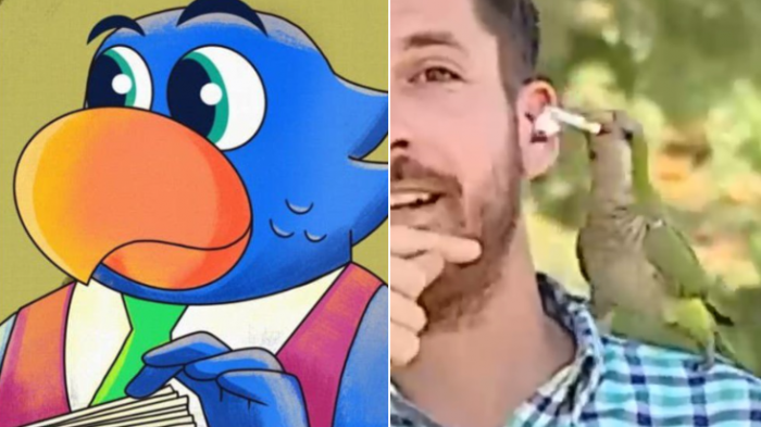 De Contralorito pa'l mundo: Las reacciones que dejó el robo de loro a periodista de CHV Noticias