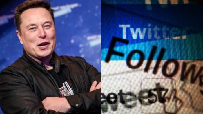 ONU advierte a Elon Musk que 