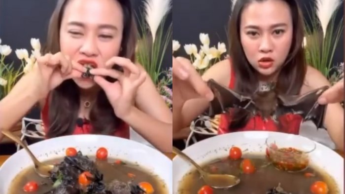 Youtuber se grabó comiendo sopa de murciélago y fue arrestada: Arriesga multa de hasta $12 millones