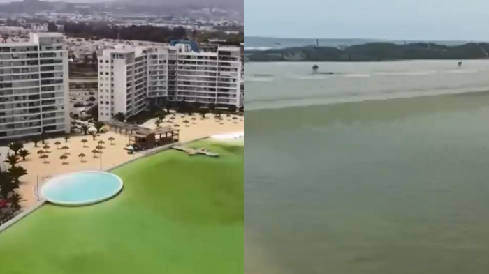 Totalmente verdosa: Residentes de condominio en La Serena denuncian falta de mantención de laguna