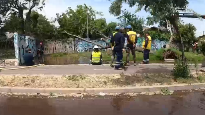 Chile a medias: Vecinos de Cerrillos denuncian caída de árboles tras filtración de agua