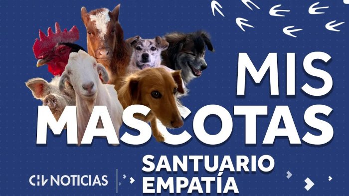 Mis Mascotas, capítulo 2: Santuario Empatía, la gran familia de Eliana Albasetti