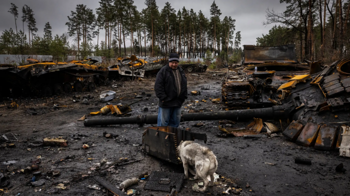 Más de 80 especies en Ucrania están en peligro de extinción por la guerra: 10 millones han sido asesinadas