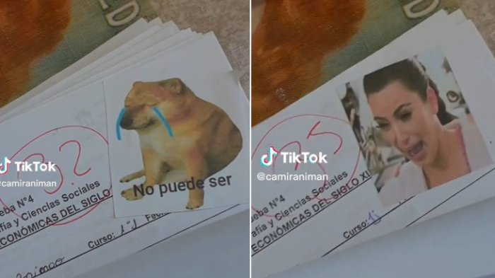 Con minions y perritos: Profesora chilena que califica a sus alumnos con memes es furor en TikTok