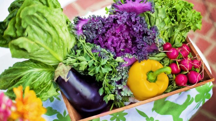 Dieta basada en vegetales podría reducir la probabilidad de tener uno de los cáncer más comunes en hombres
